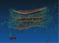 PVA-intercalated polymer