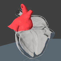 model of heart