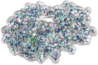 The T4-lysozyme L99A/M102Q protein from a ONETEP calculation, showing a contour of its solvation cavity, as determined by its electron density.