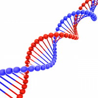 strand of DNA