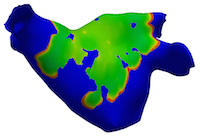 Illustrative heterogeneous electrical activation over the surface of a diseased human left atrium