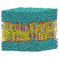 Molecular model