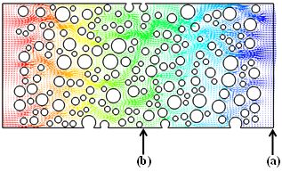 Velocity vectors